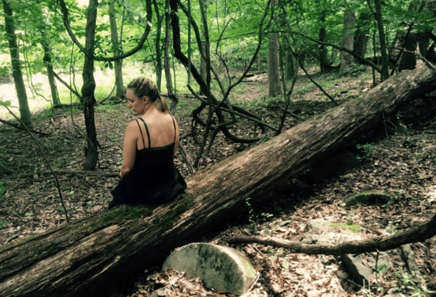 Ein Interview mit Candice Fox Krimiscout