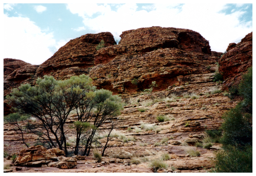 Wüste, Bild 1 zur Krimiscout-Besprechung von Wonder Valley, Ivy Pochoda
